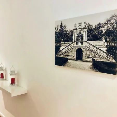 Botanico De كويمبرا